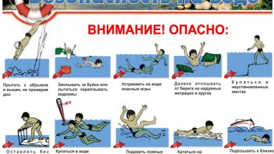 Photo of Страхование аренды недвижимости